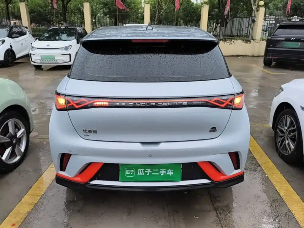 BYD Dolphin 2022