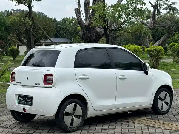 Ora Black Cat 2021