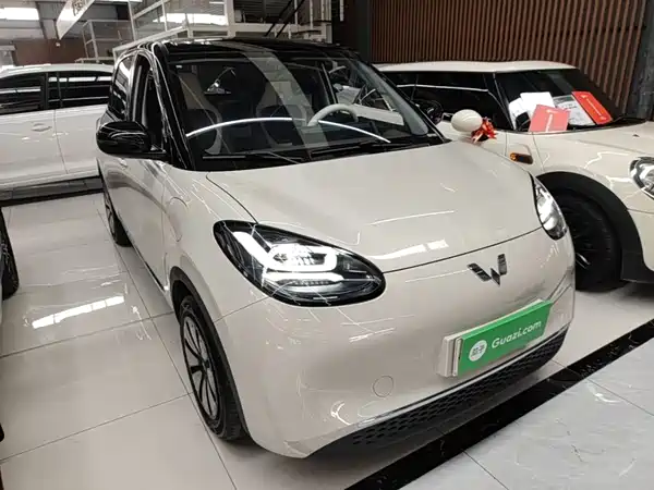 Wuling Bingo 2024
