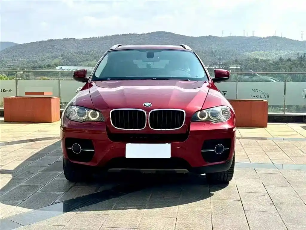 BMW X6 2010 — фото 3