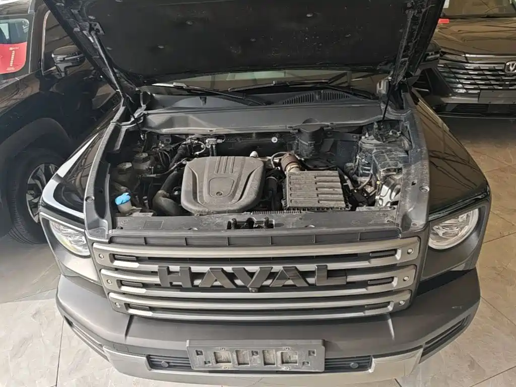 Haval Raptors New Energy 2024 — фото 20