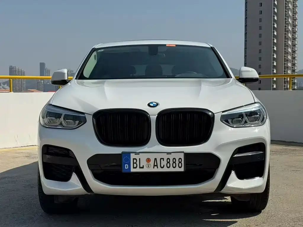 BMW X4 2021 — фото 2