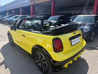 MINI MINI 2025