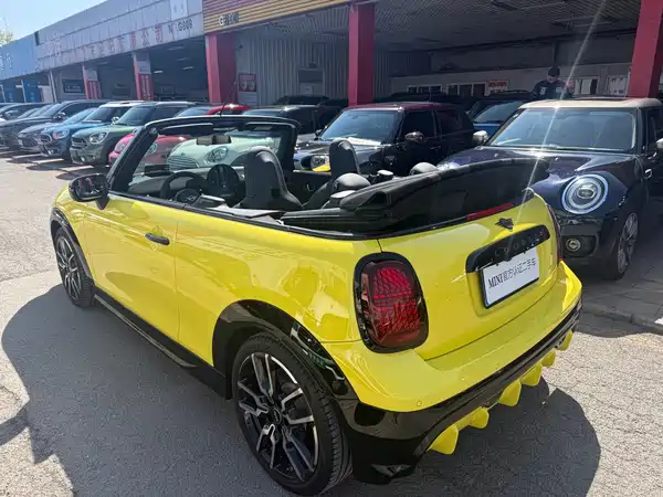 MINI MINI 2025