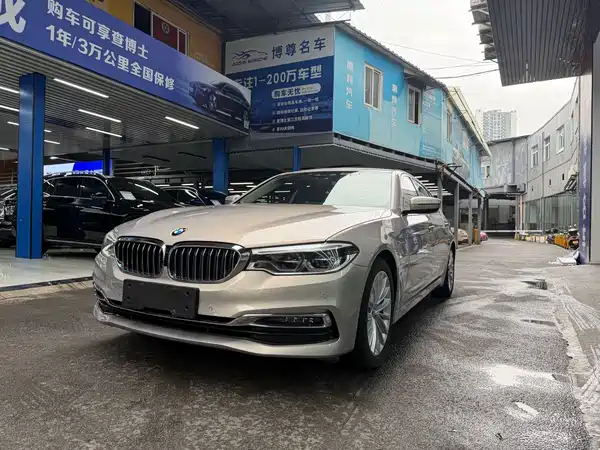 BMW 5 Series New Energy 2019