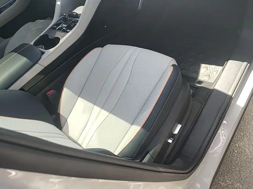 BYD PLUS New Energy 2023 — фото 25