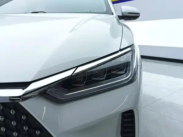 BYD e2 2021