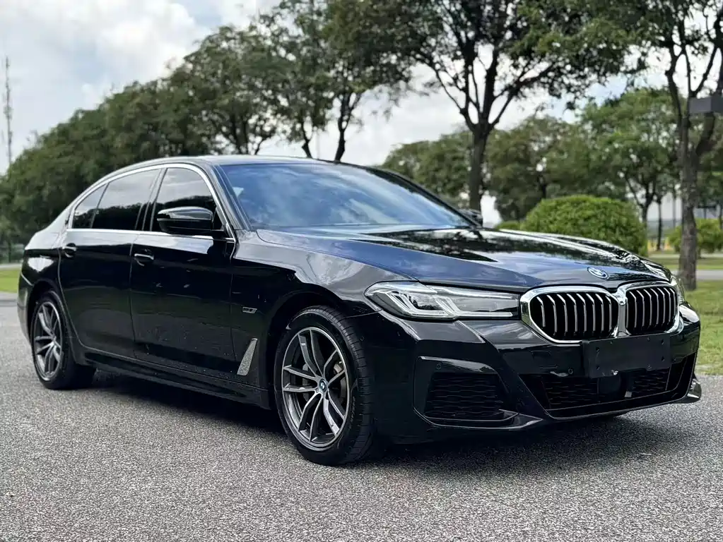 BMW 5 Series New Energy 2022