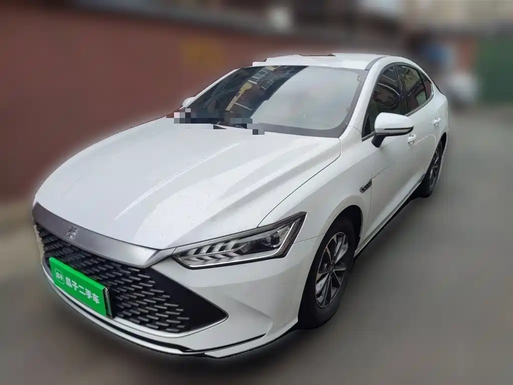 BYD Qin PLUS 2024 — фото 2