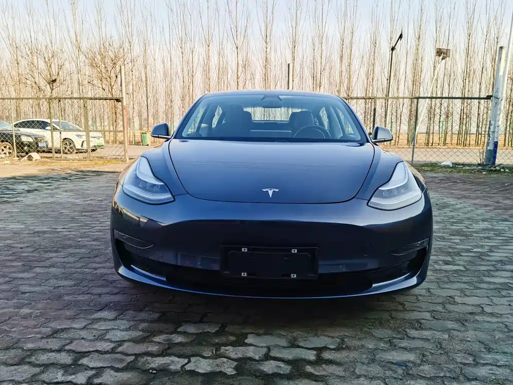 Tesla Model 3 2019 — фото 3