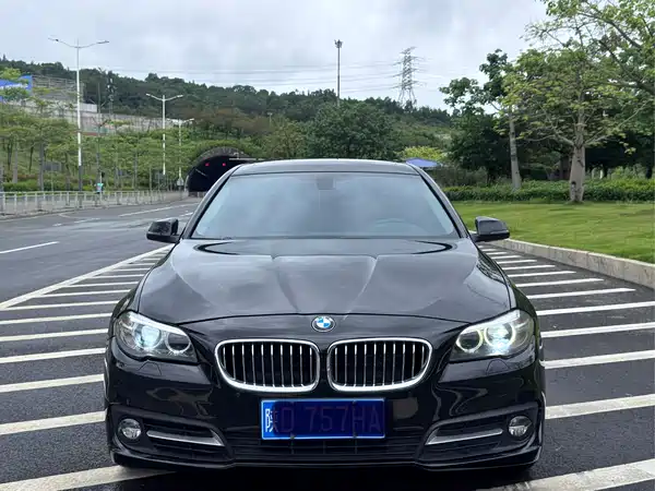 BMW 5 Series 2015