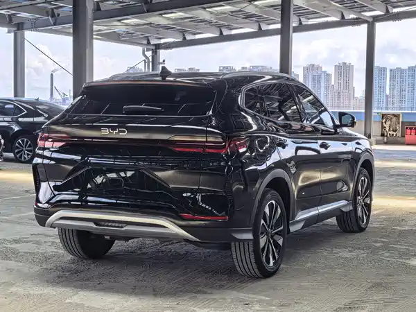 BYD Song PLUS New Energy 2024