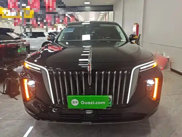 Hongqi E-HS9 2023