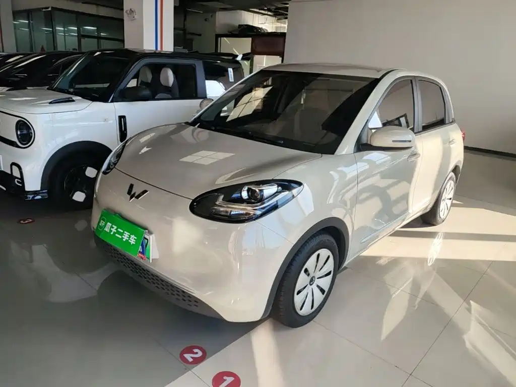 Wuling Bingo 2024