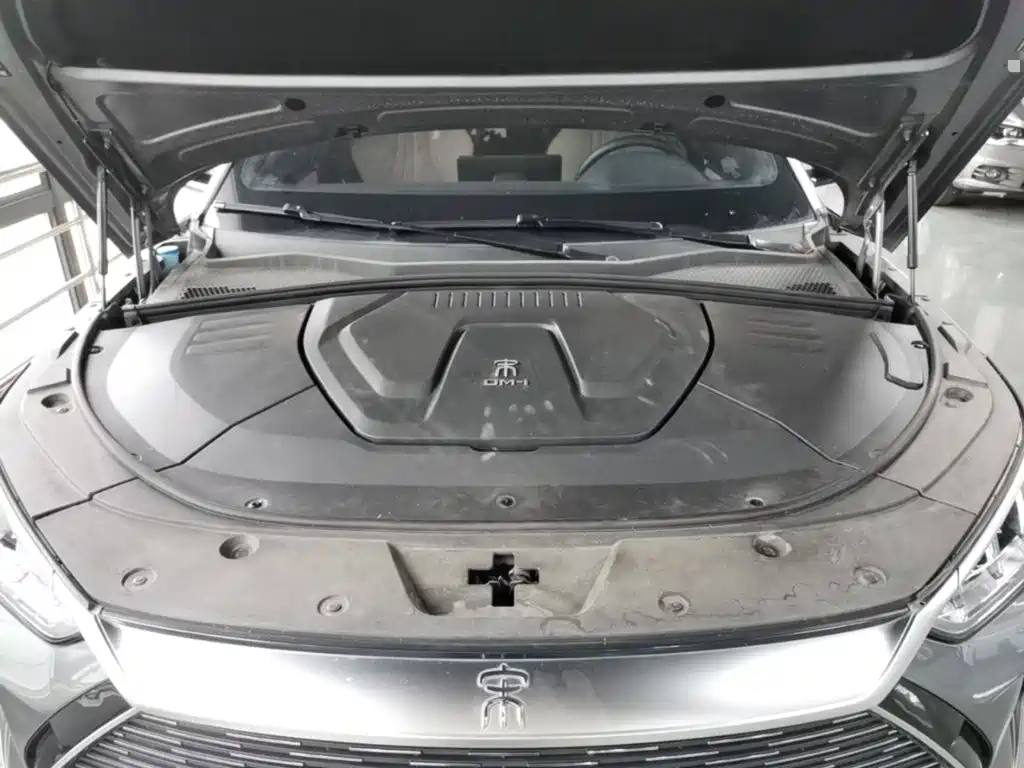 BYD PLUS New Energy 2023 — фото 16