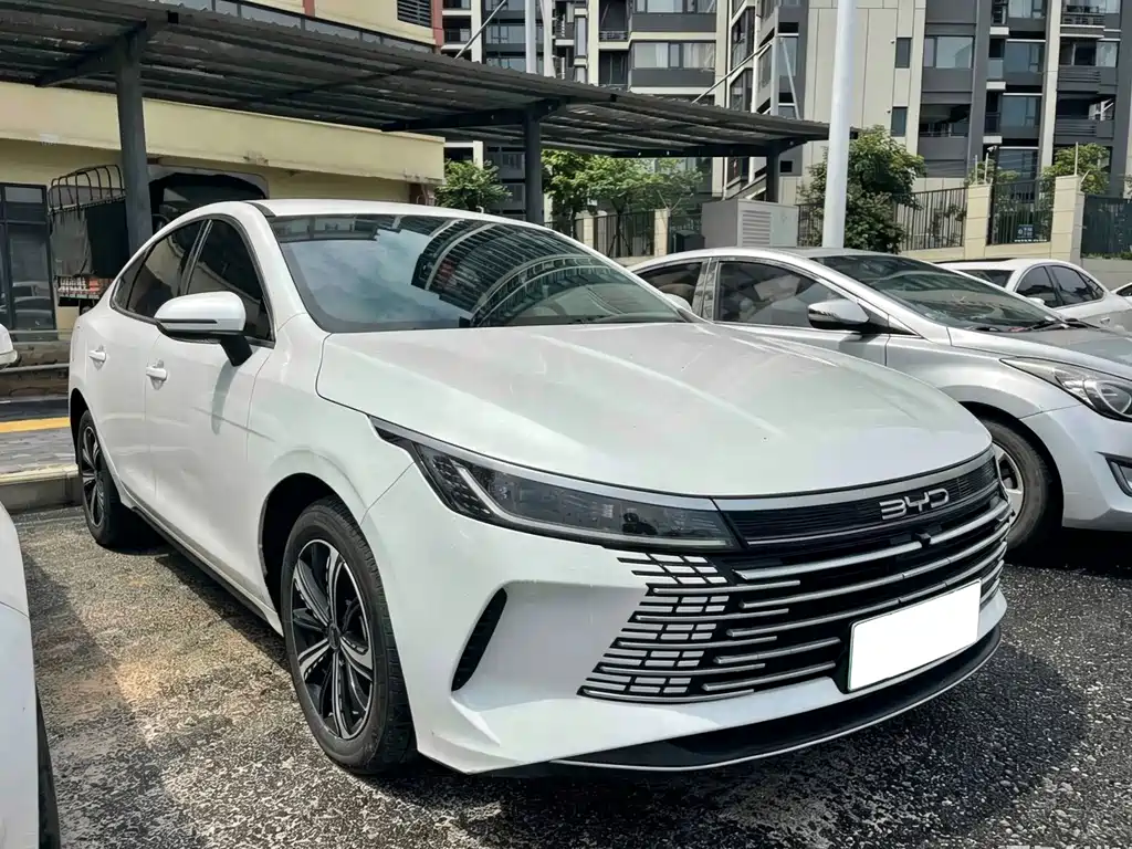 BYD Destroyer 05 2024 — фото 1