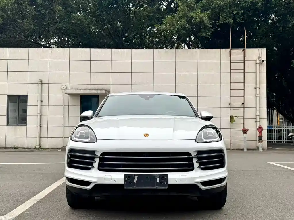 Porsche Cayenne 2022 — фото 2