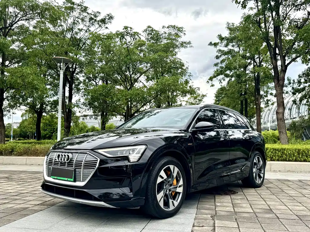Audi e-tron 2021 — фото 1