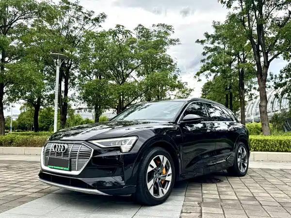 Audi e-tron 2021