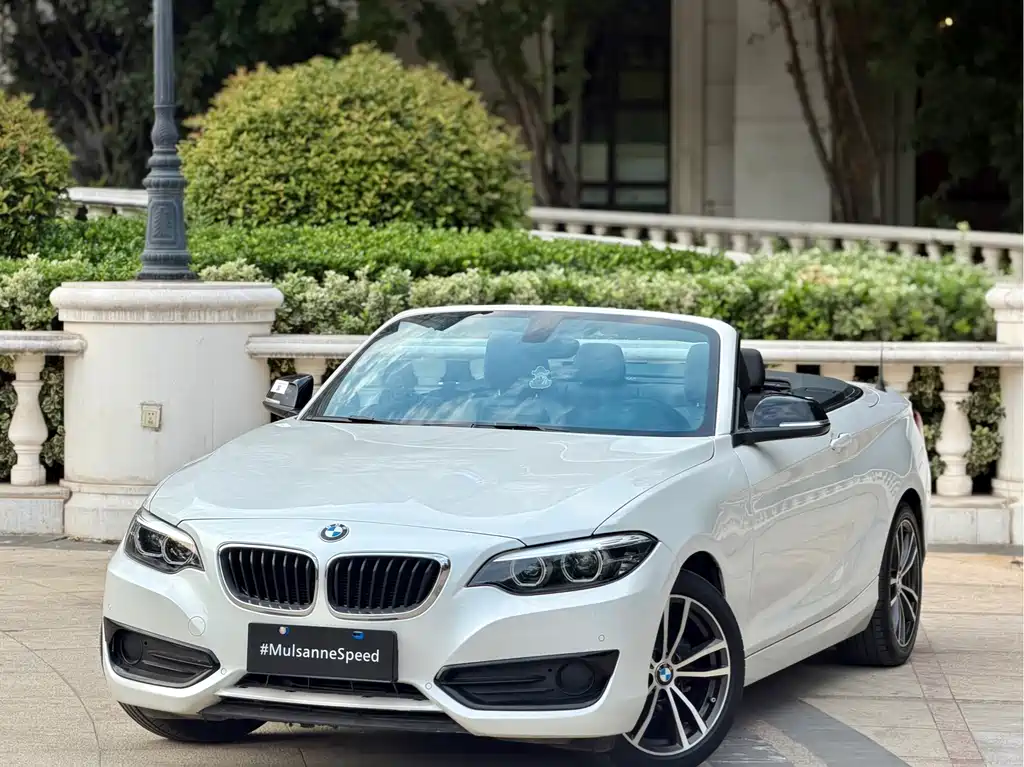BMW 2 Series 2019