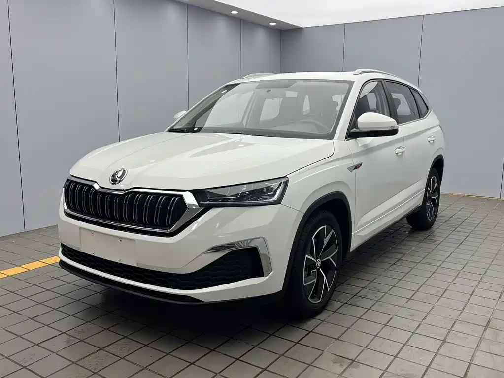 Skoda Kamiq 2022 — фото 1