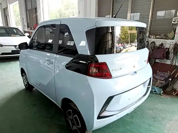 Dongfeng Scenery MINIEV 2022
