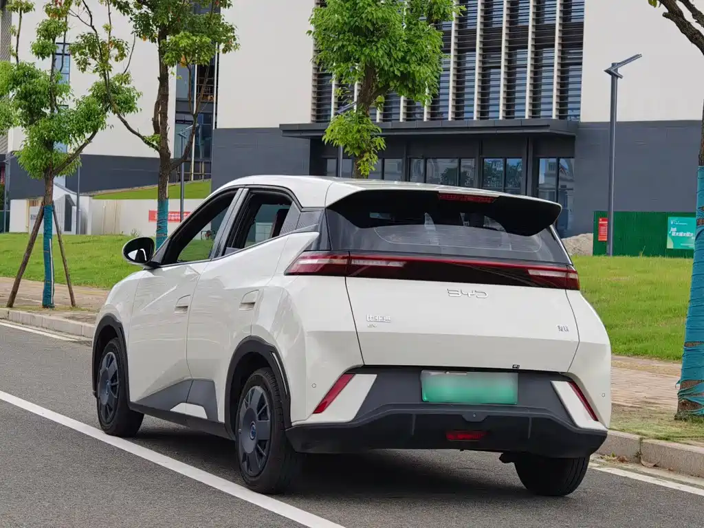 BYD Seagull 2024