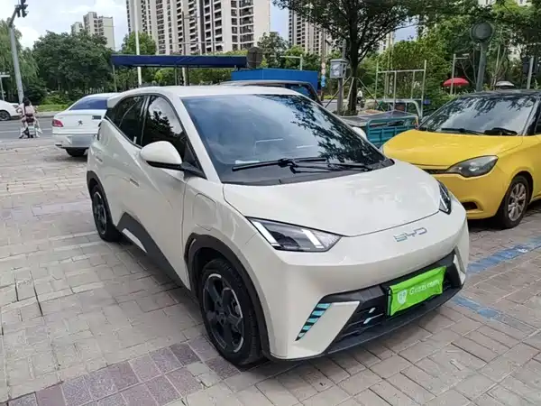 BYD Seagull 2024