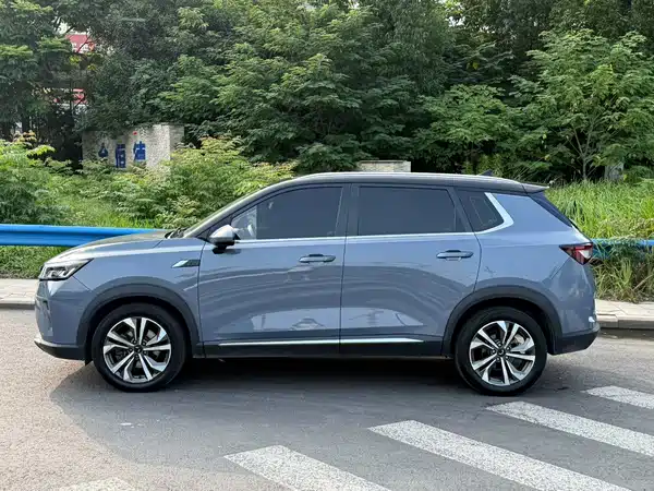 Wuling Star 2021