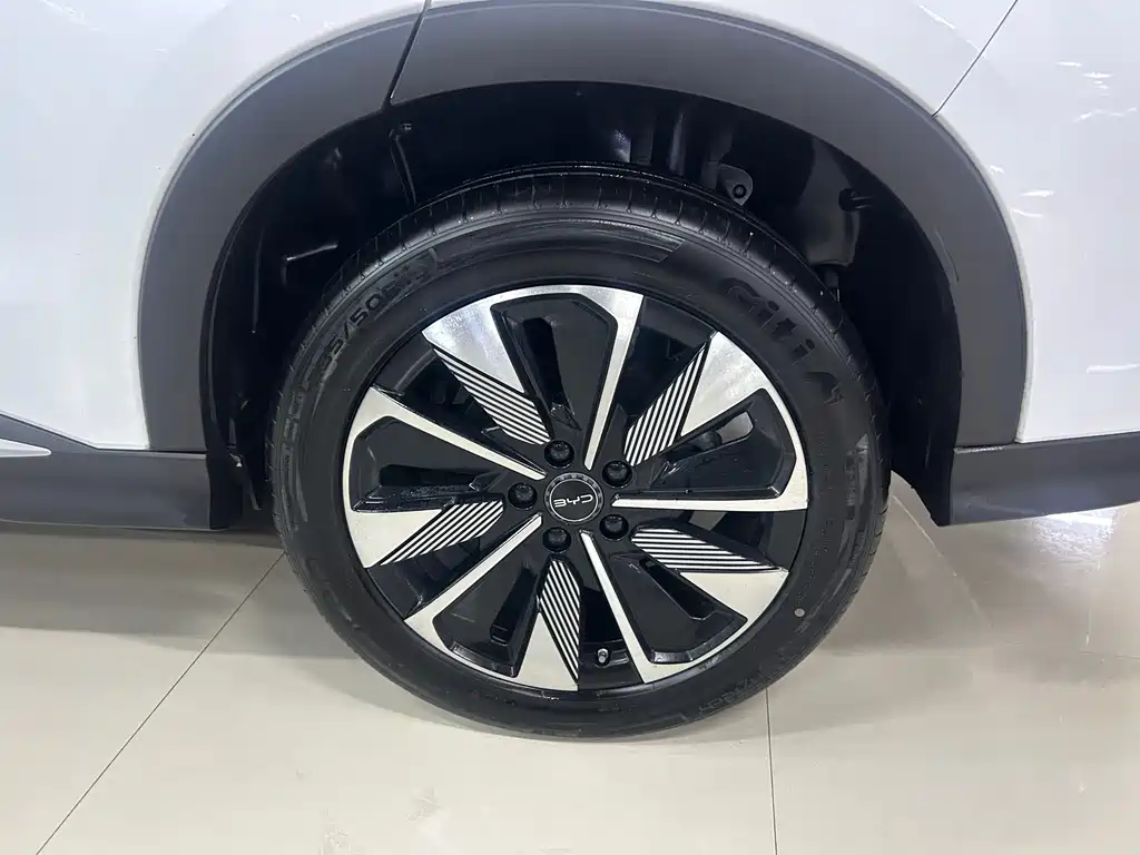 BYD Song PLUS New Energy 2024 — фото 22