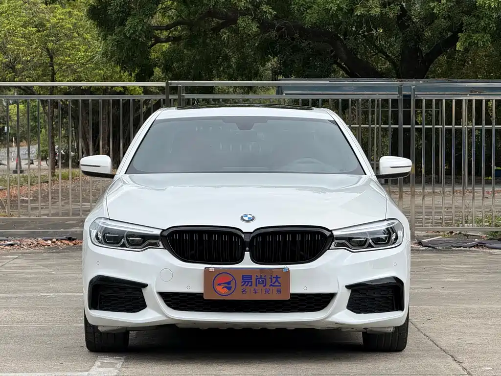 BMW 5 Series 2020 — фото 1