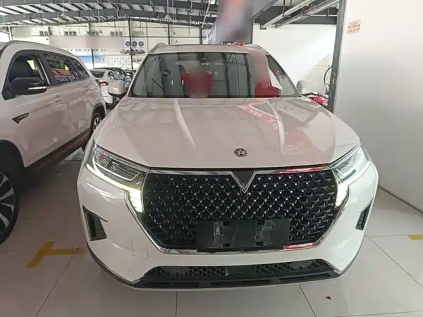 Venucia Star 2020