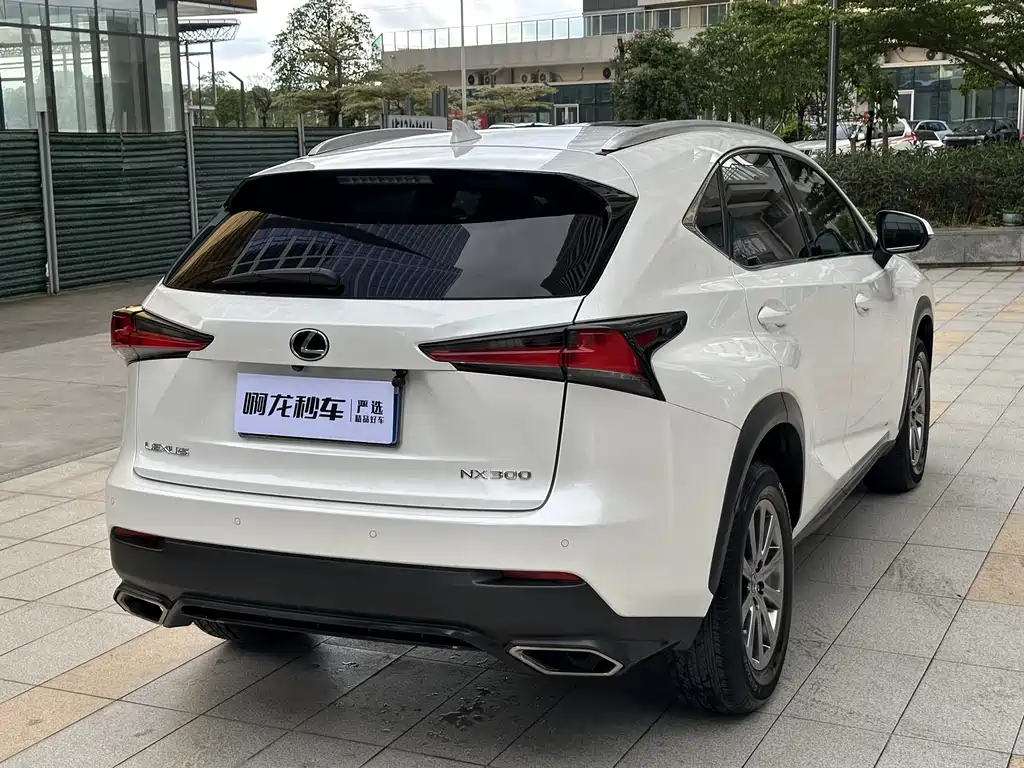 Lexus NX 2017 — фото 21