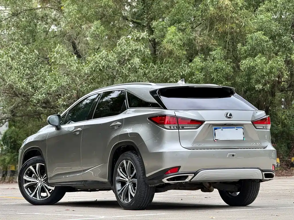 Lexus RX 2020 — фото 17