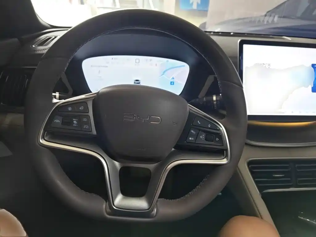 BYD Song PLUS New Energy 2024 — фото 11