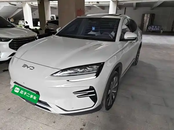 BYD Song PLUS New Energy 2024