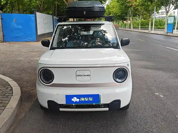Geely Galaxy Panda 2023