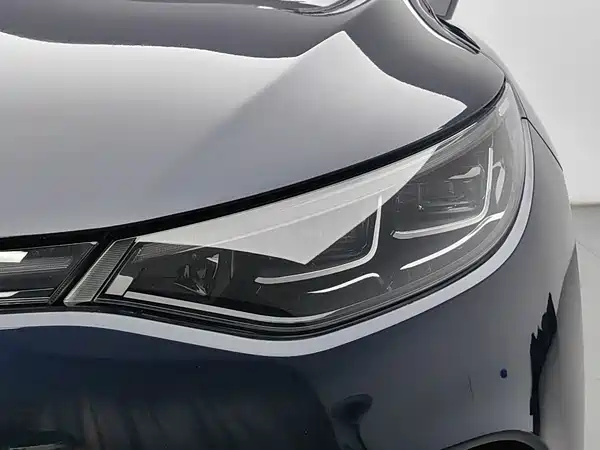 Denza X 2020