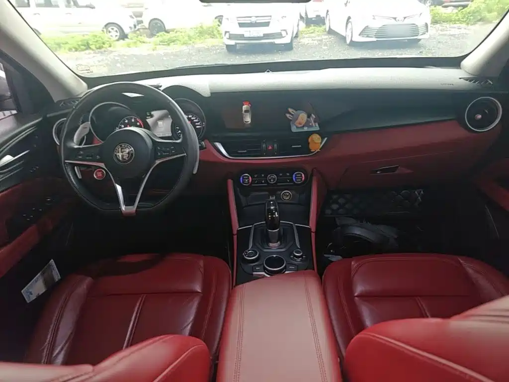 Alfa Romeo Stelvio 2019 — фото 10
