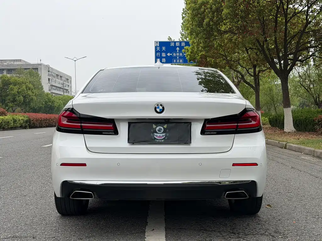 BMW 5 Series 2021
