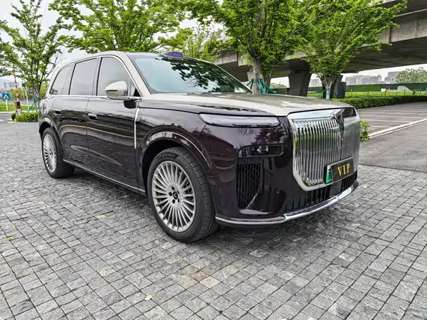 Voyah Taishan 2025