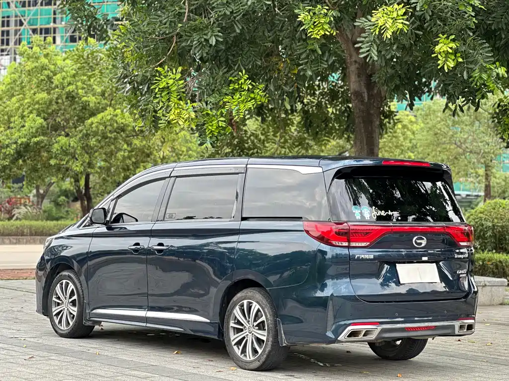 GAC Trumpchi M8 2020 — фото 9