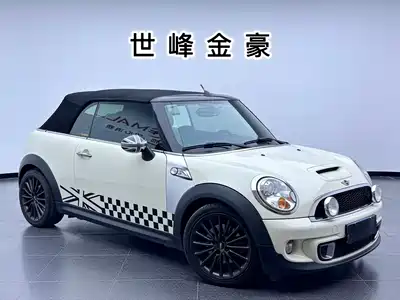 MINI MINI 2013