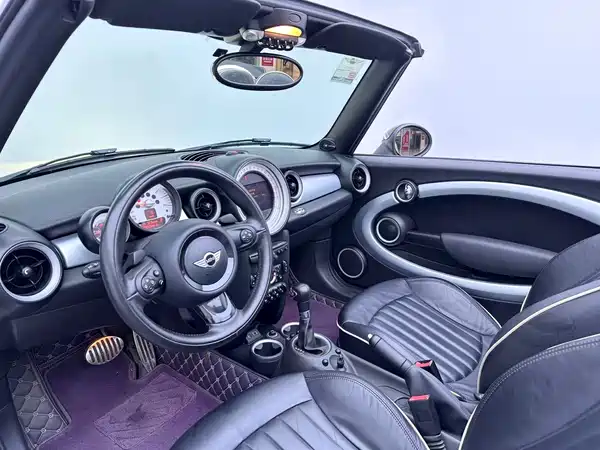 MINI 2013