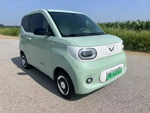 Wuling Hongguang MINIEV 2024