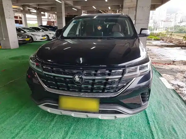 Dongfeng Fengxing T5 2023