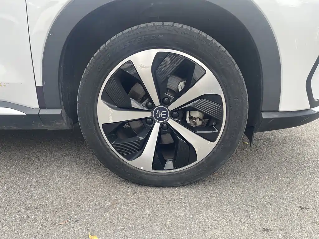 BYD PLUS New Energy 2023 — фото 15
