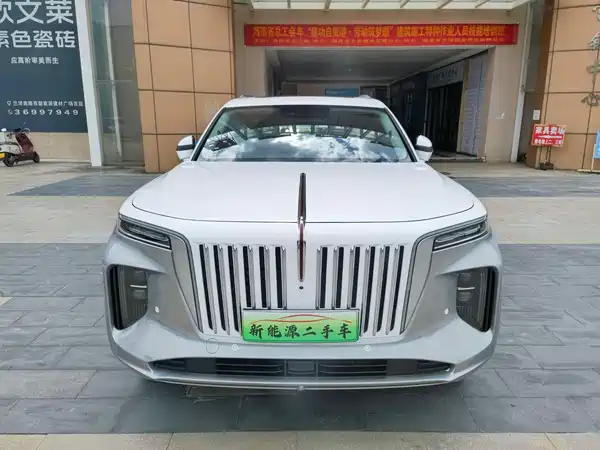 Hongqi E-HS9 2021