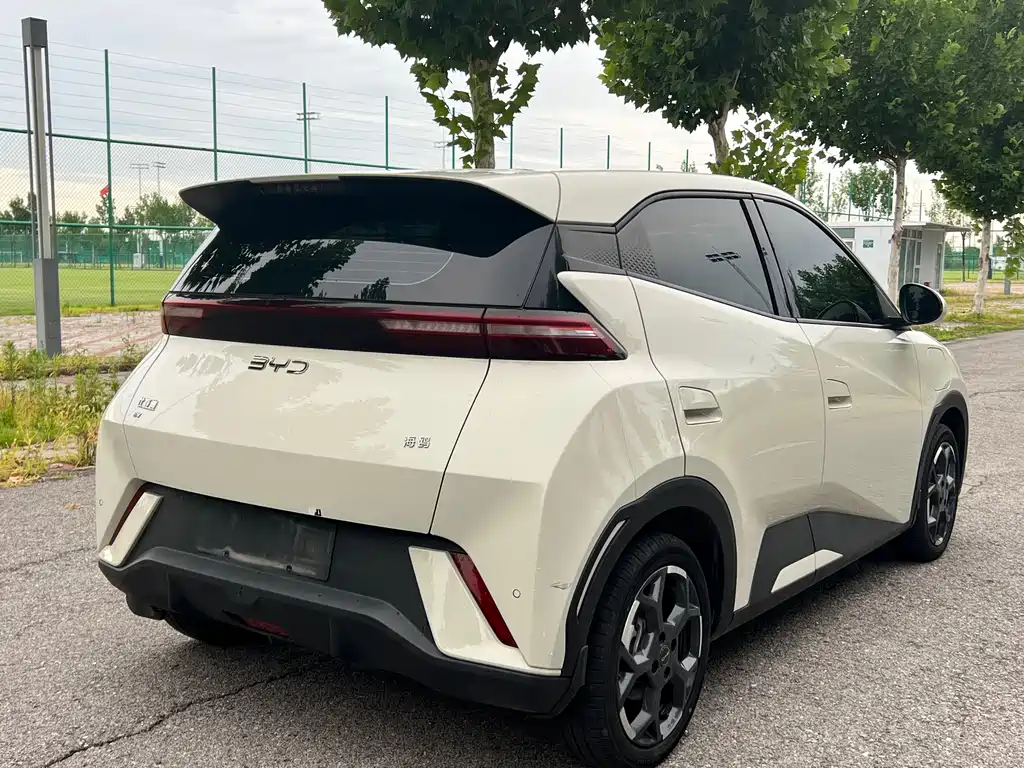 BYD Seagull 2024