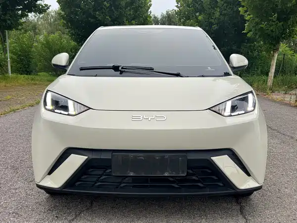 BYD Seagull 2024